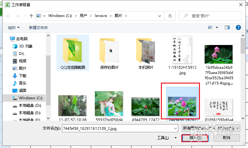 Excel表格如何给表格添加背景图片