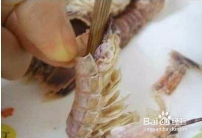 厨房小技巧：虾蛄快速剥皮无浪费方法