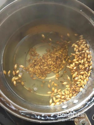 断奶麦芽煮水怎么煮