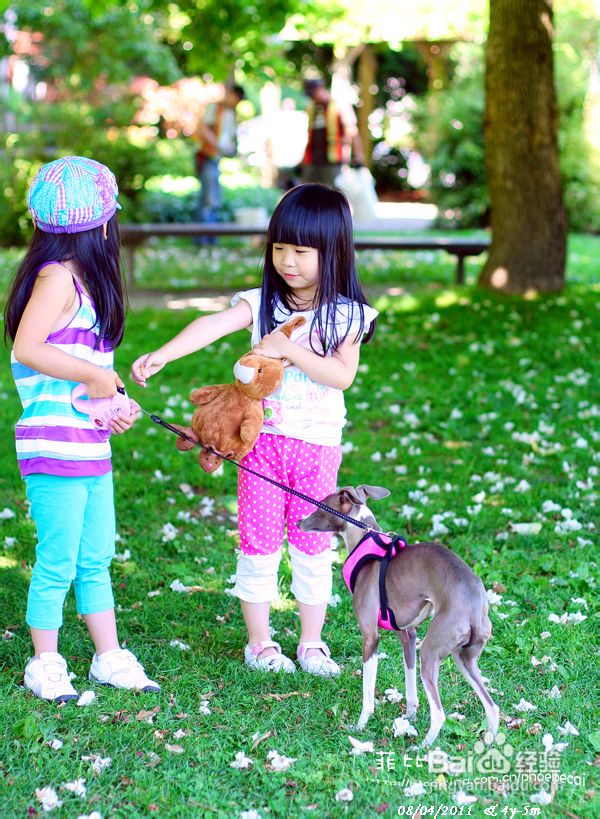 温哥华蒙式幼儿园育儿讨论会