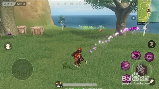 风云岛行动浅技巧介绍