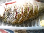 怎样自制豆瓣鲫鱼