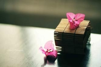 时光倒流与侦探