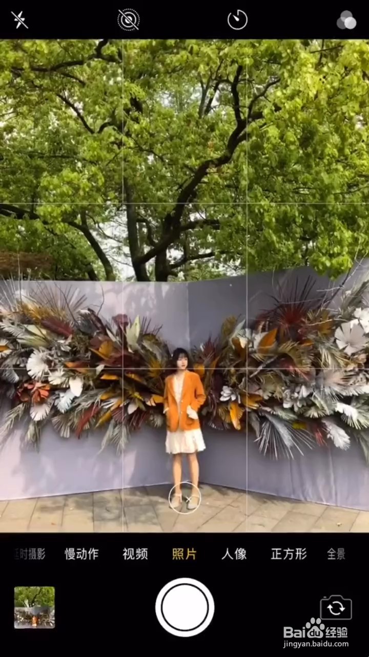 如何用手机在小仙女打卡地拍照