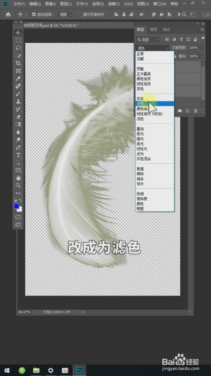 在Ps中如何抠羽毛