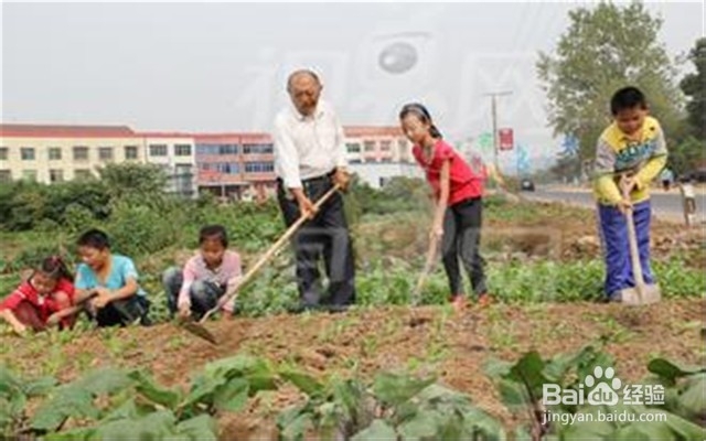 如何培养孩子善良的美德？