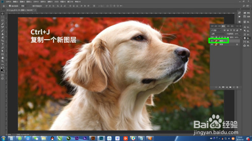 PS快速抠图的小技巧