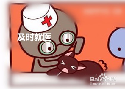 猫咪精神不好食欲不振怎么办