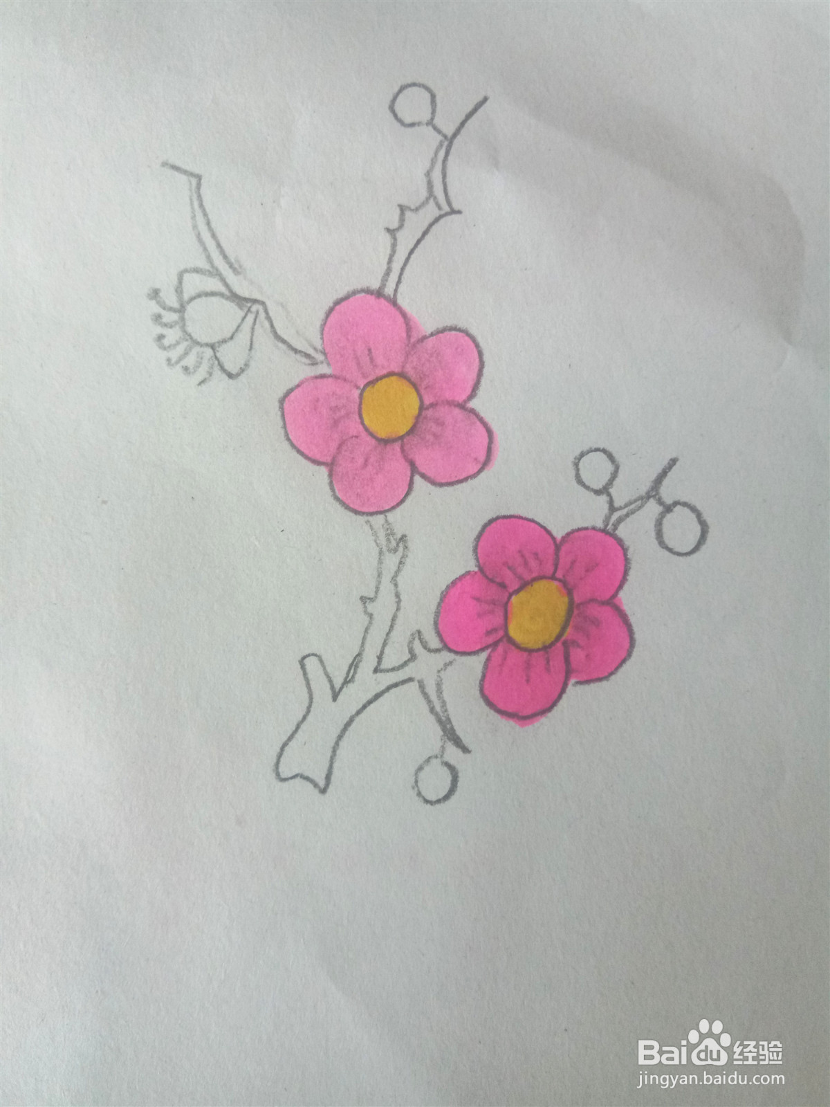 梅花的简笔画怎么画？