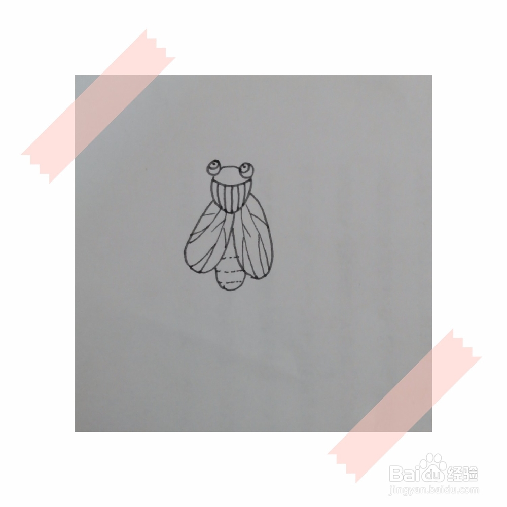 儿童画简笔画苍蝇