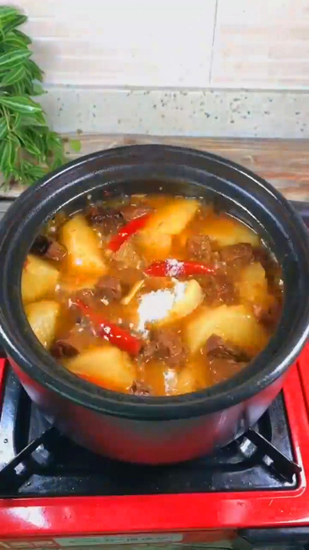 怎样做萝卜炖牛肉
