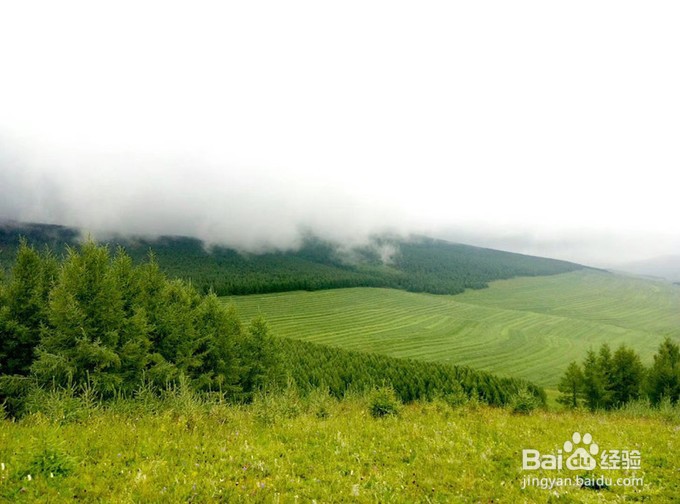草原天路自驾路线地图