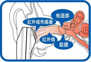 耳温枪使用须知!学会正确操作耳温枪!