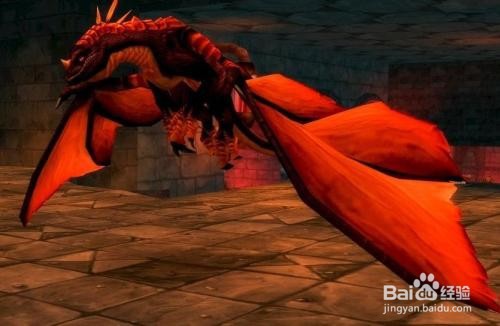 埃博诺克怎么打