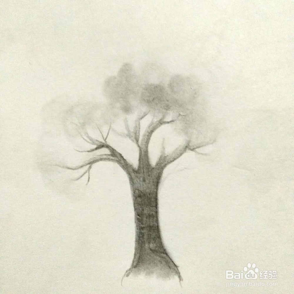 怎样画一颗树？