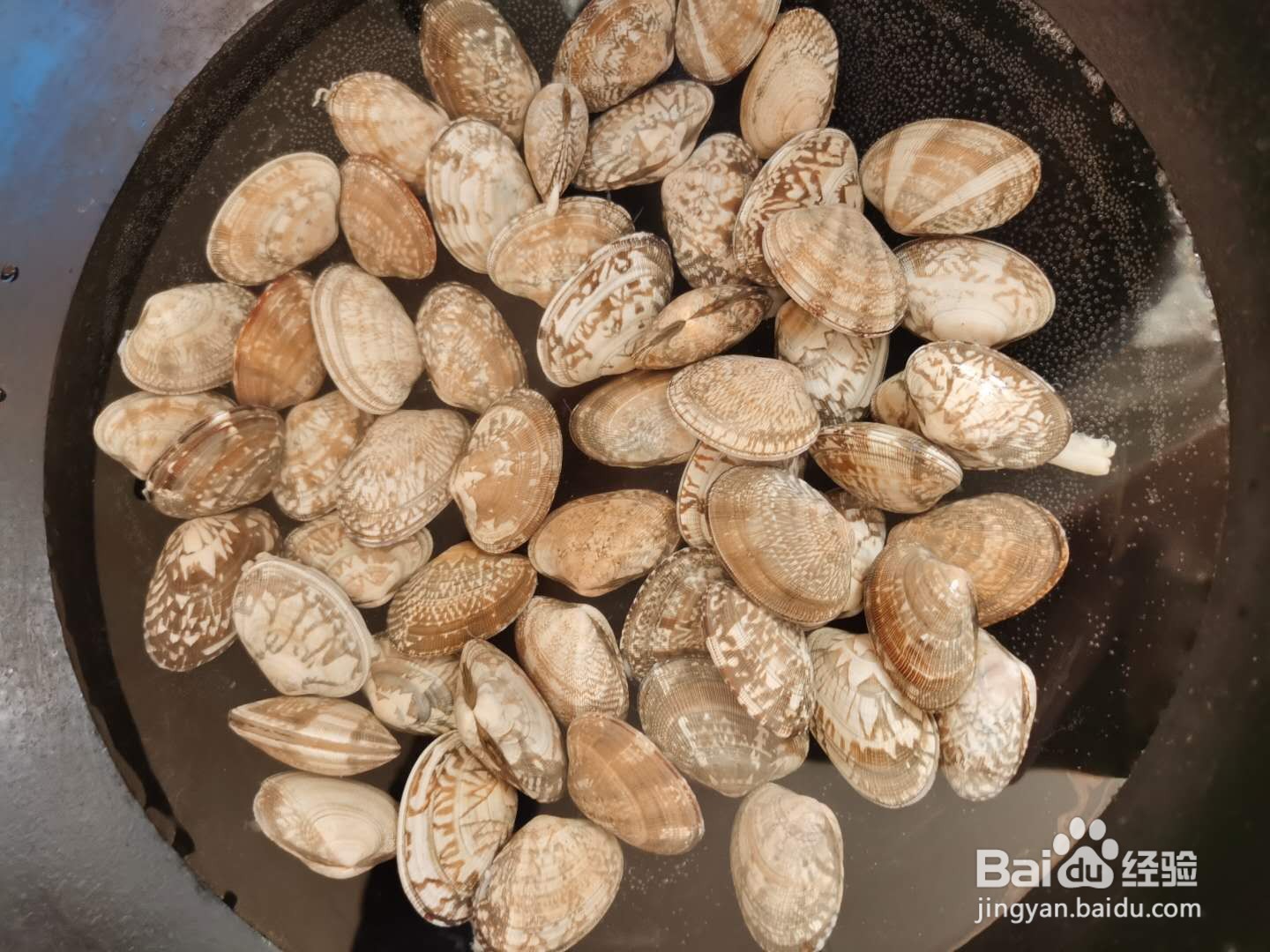 花甲怎么做好吃