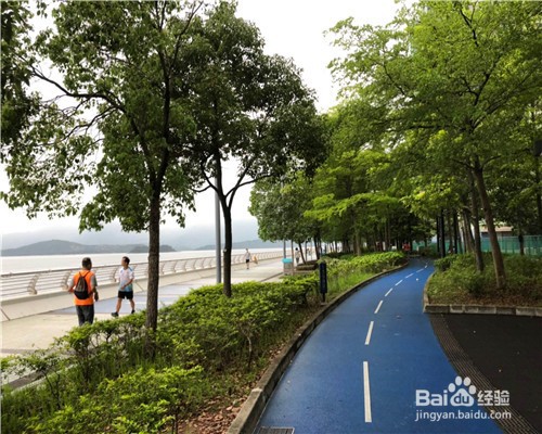 春天如何防止柳絮引起的过敏？