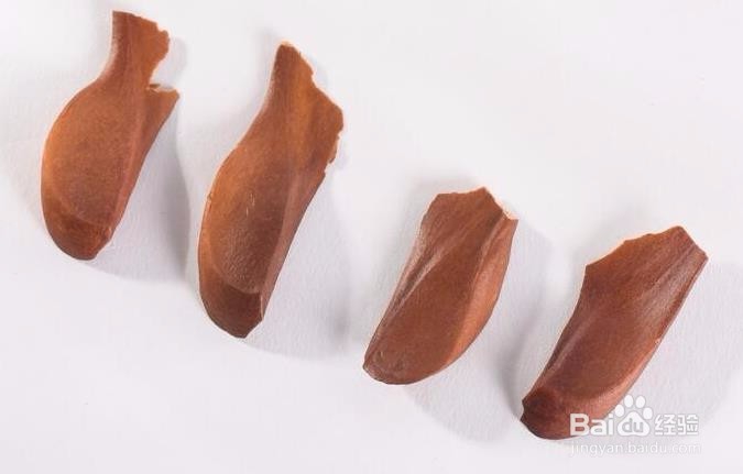 向天果一斤多少钱 正宗向天果多少钱