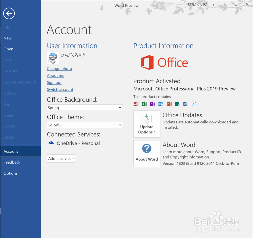 Microsoft Office 2019 早期预览版下载