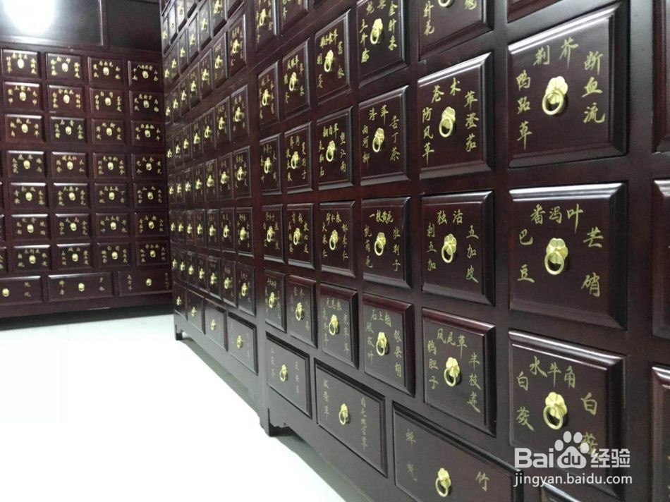 嗅觉失灵中医解析