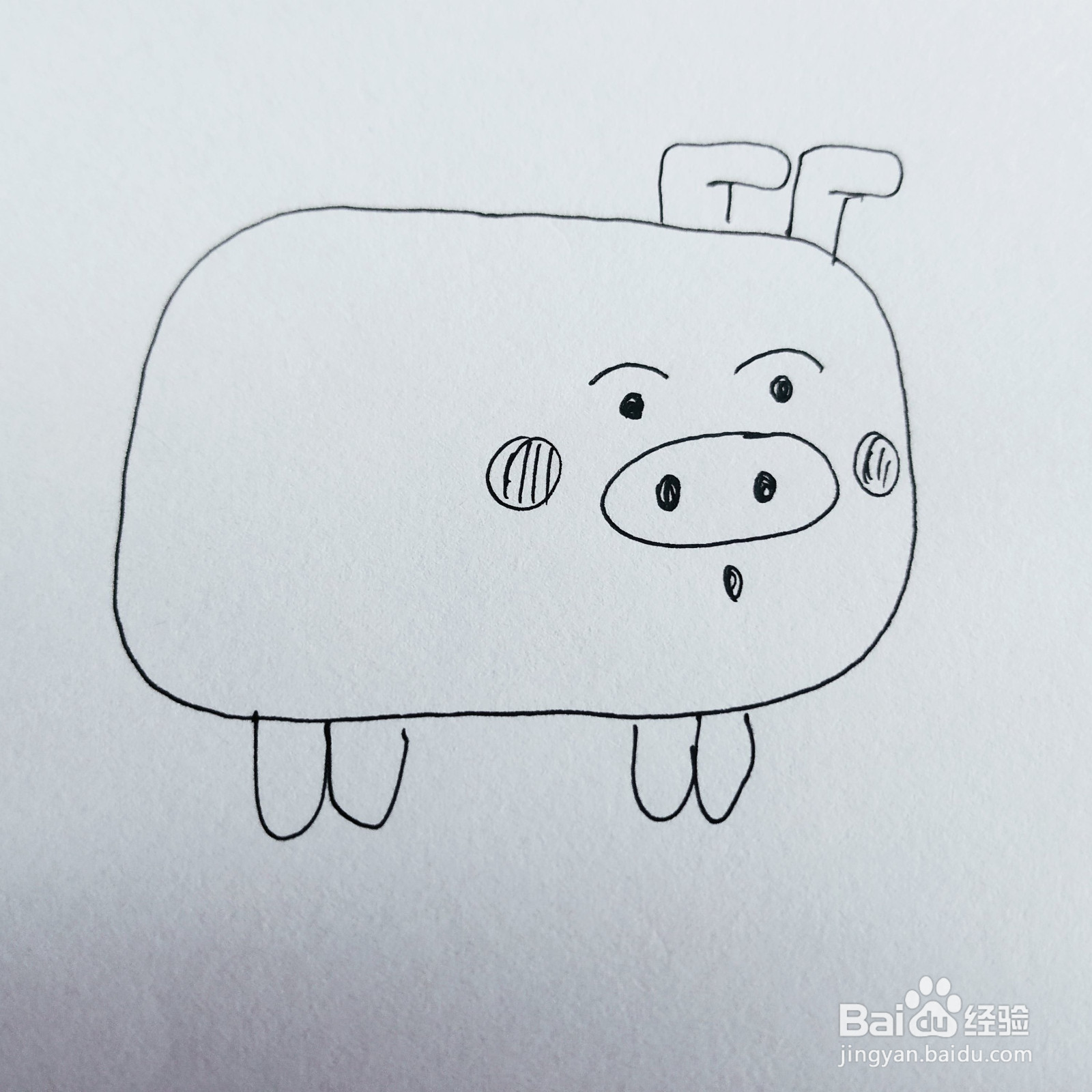 如何来教给孩子画一只胖嘟嘟的小猪呢？