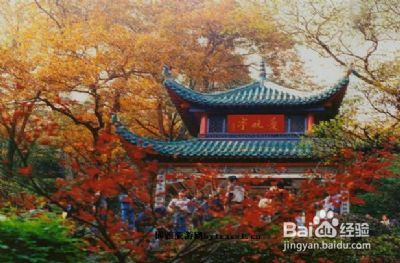 南京到长沙旅游攻略