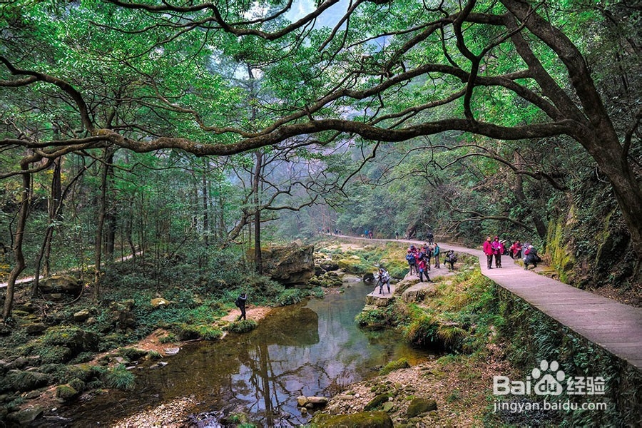 常德到张家界自驾游