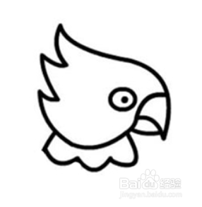 多嘴的鹦鹉简笔画