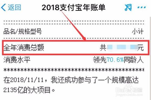 支付宝怎样查2018年全年账单？