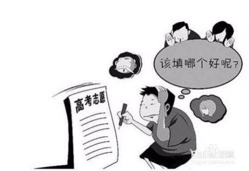 准大学生如何填报专业？