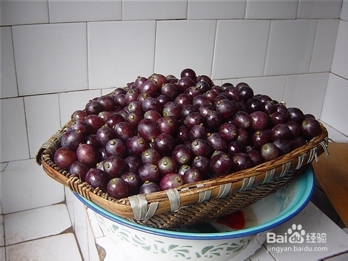 家庭自酿红葡萄酒权威教程