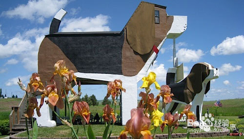 全球十大最不可思议的旅馆