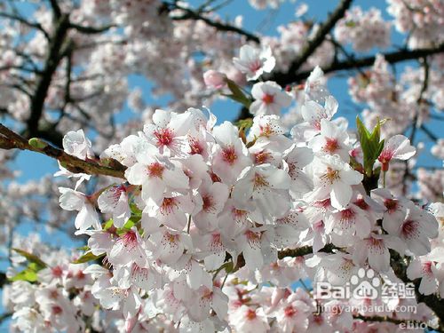 台湾旅游注意事项之终结版