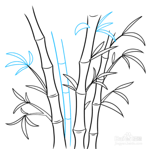 怎样画竹子 一步一步图片