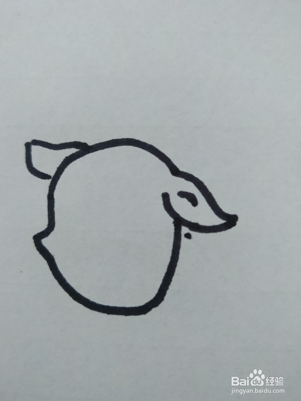 小羊的简笔画怎么画，怎么画小羊