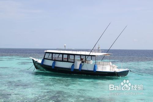 马尔代夫W岛旅游攻略