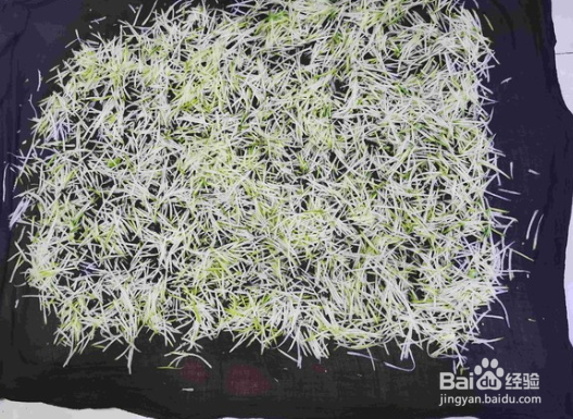 炝拌白萝卜丝的做法