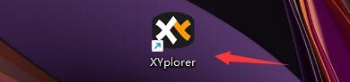 XYplorer如何设置按下鼠标缩小以适应图形