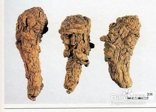 女性在月经期应该吃什么食物