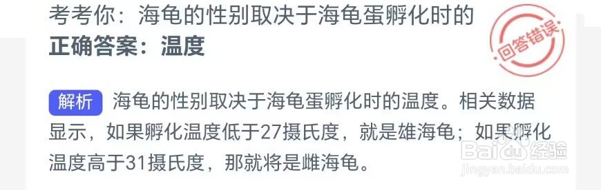 神奇海洋：考考你海龟的性别取决于海龟蛋孵化时