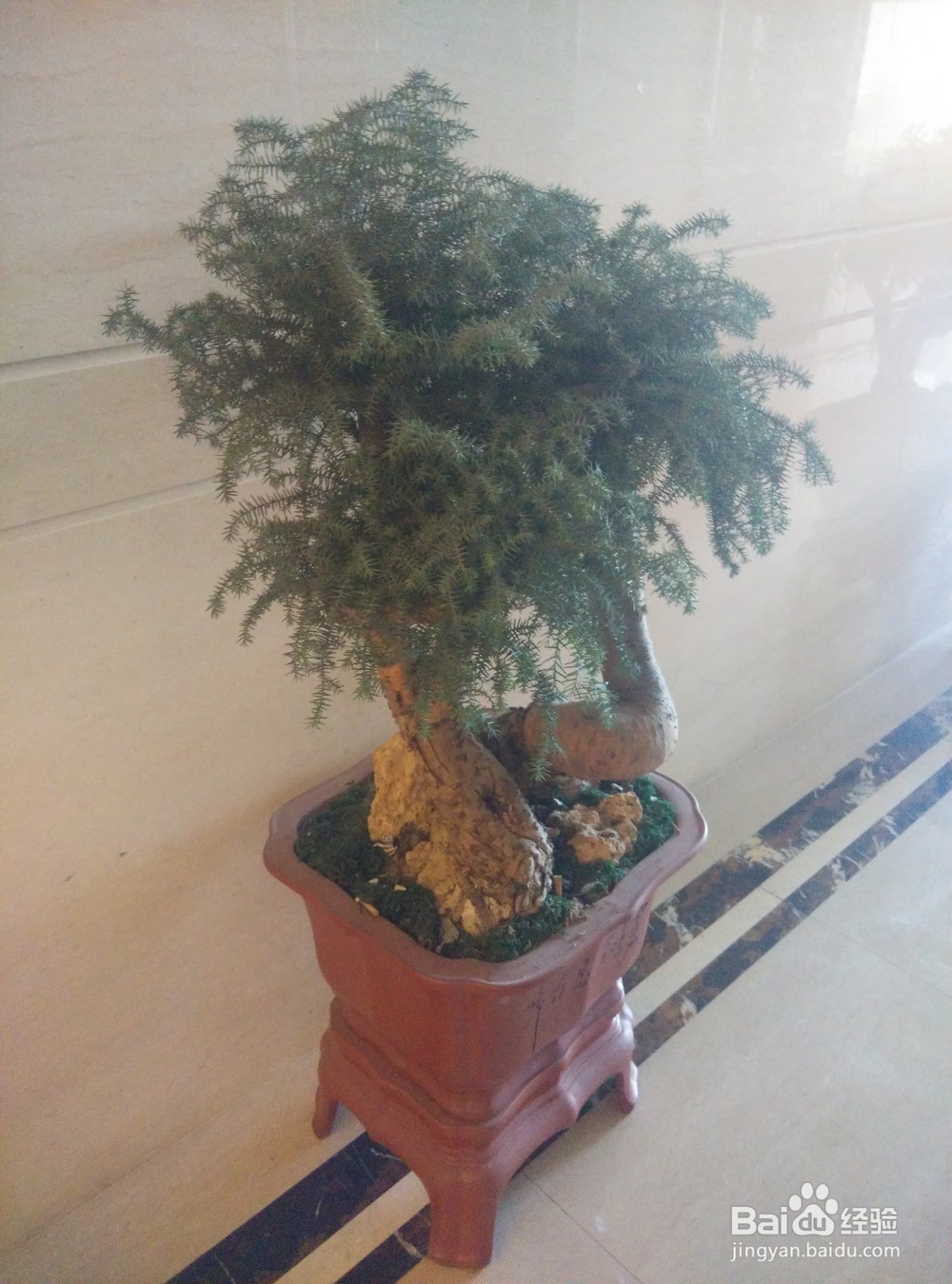 告诉你苏州人怎么过冬至