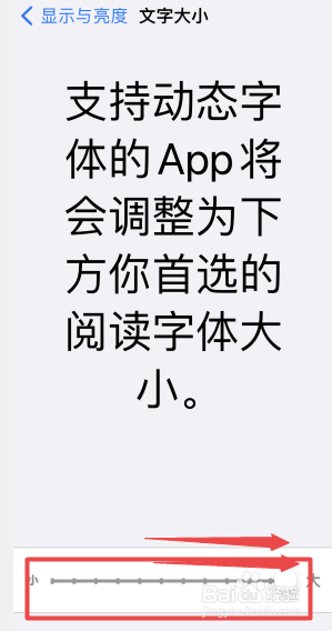 苹果手机怎么放大字体