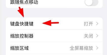 苹果键盘快捷方式中的调整放大级别如何关闭