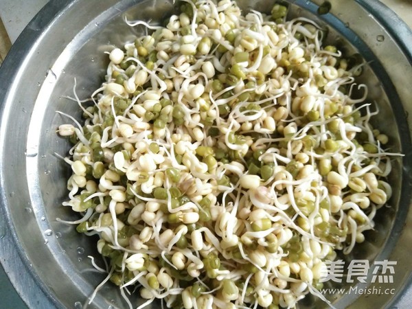 炒自发绿豆芽