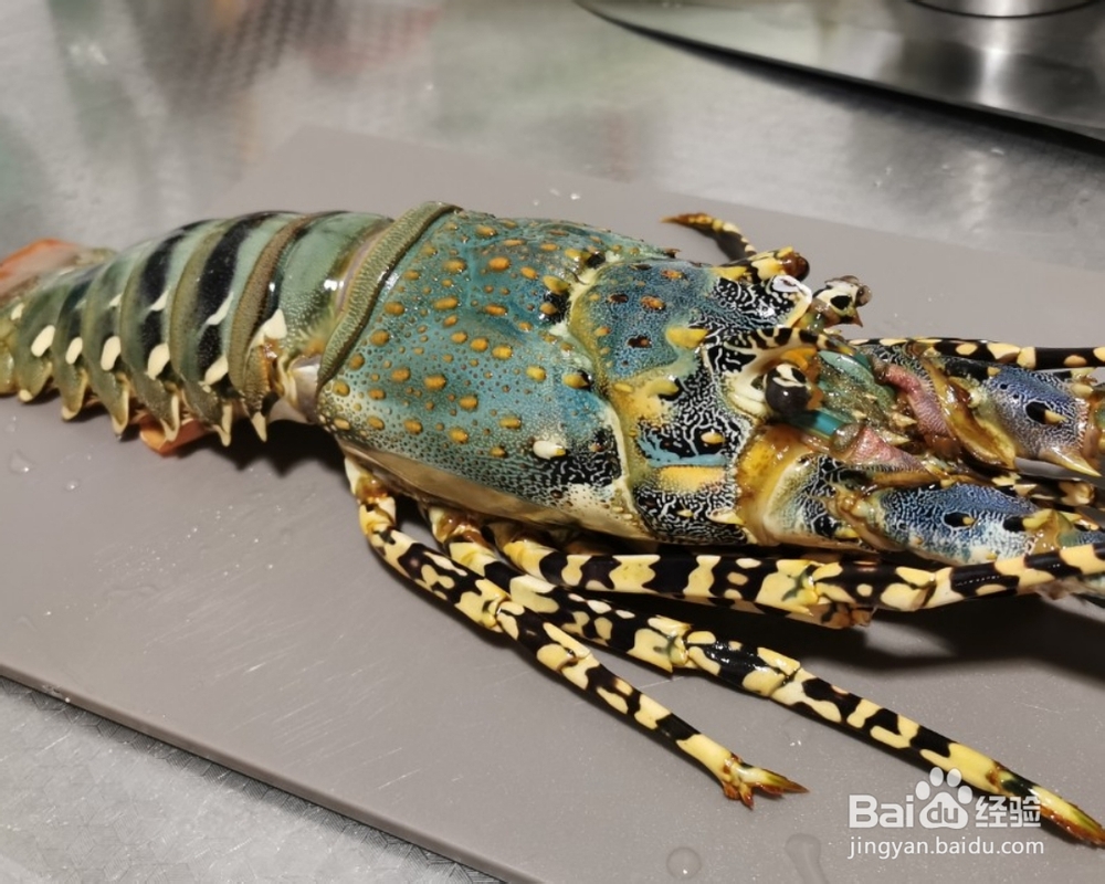 详细教你做葱姜澳洲龙虾