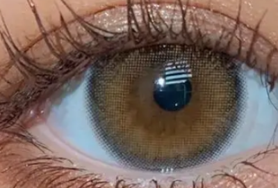 人体各部位名称是什么