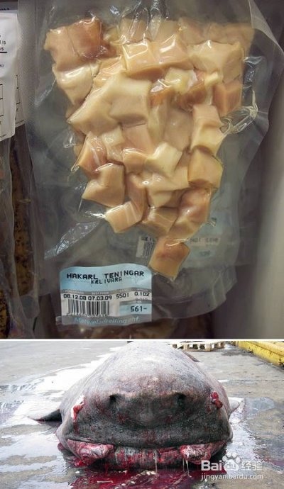 盘点世界十大最奇特的小吃