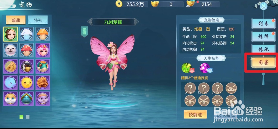 云墨剑舞怎么查看宠物图鉴