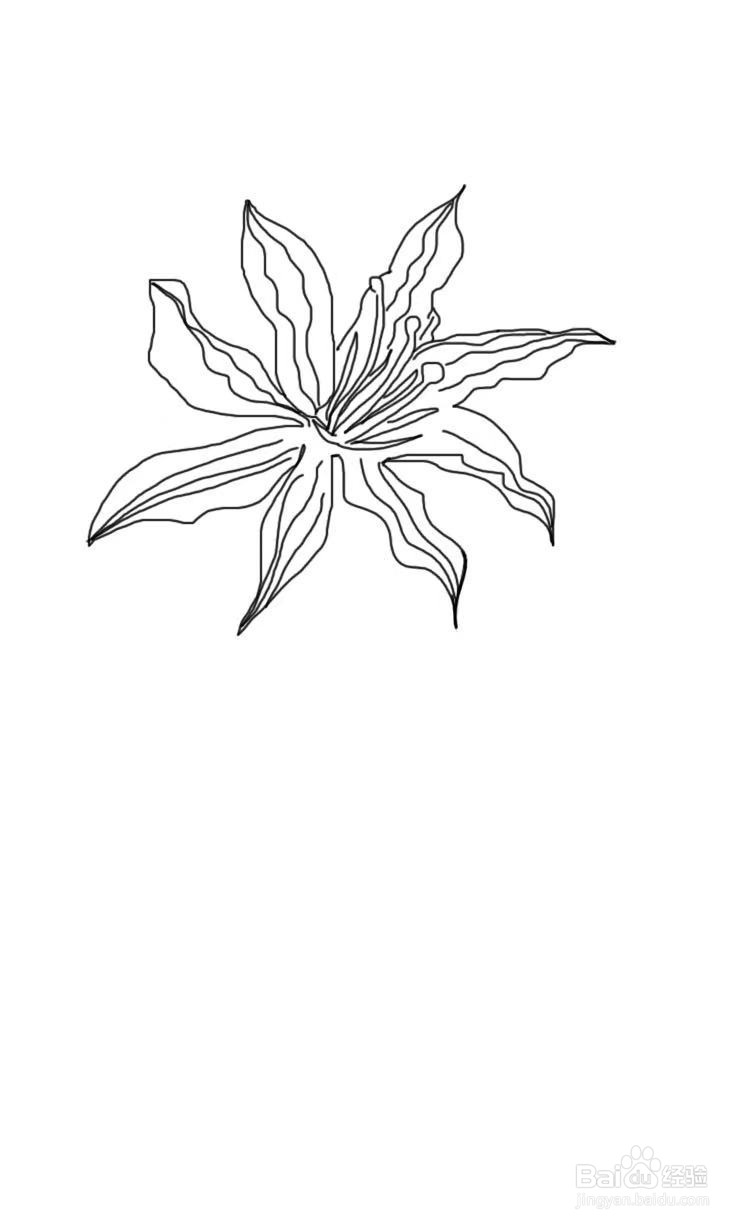 简笔画教程之花束