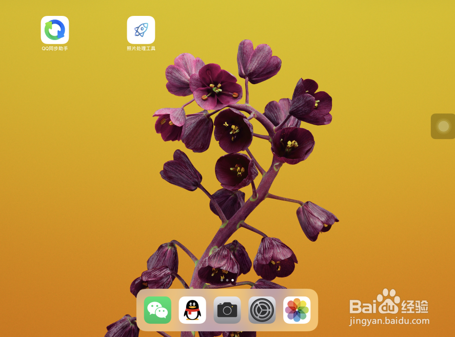 iPad Pro苹果平板电脑怎样长按小白点进行截屏